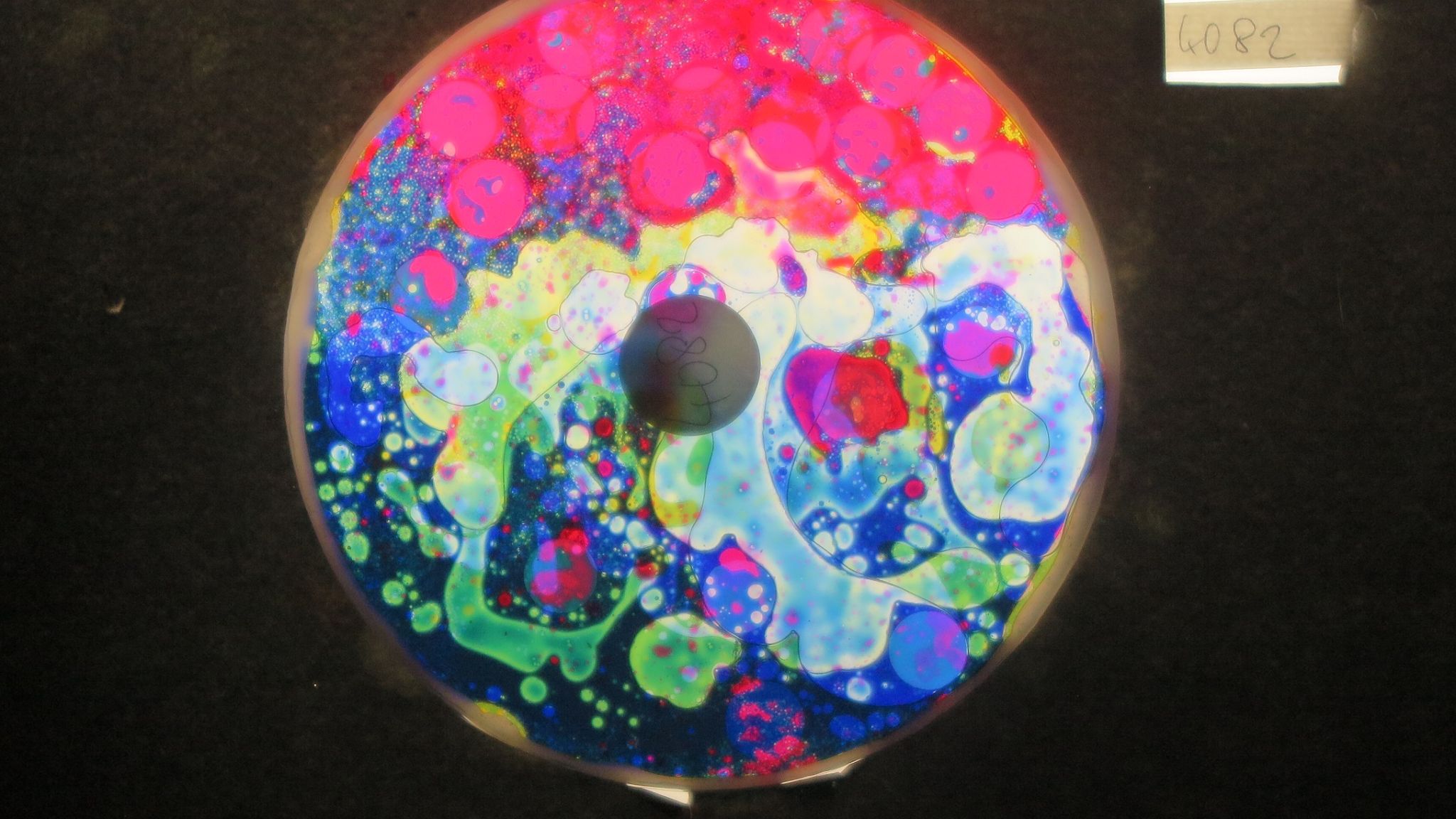 BV4082 bubble vision oil wheel